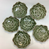 Set of Six Small Green Succulent Dishes