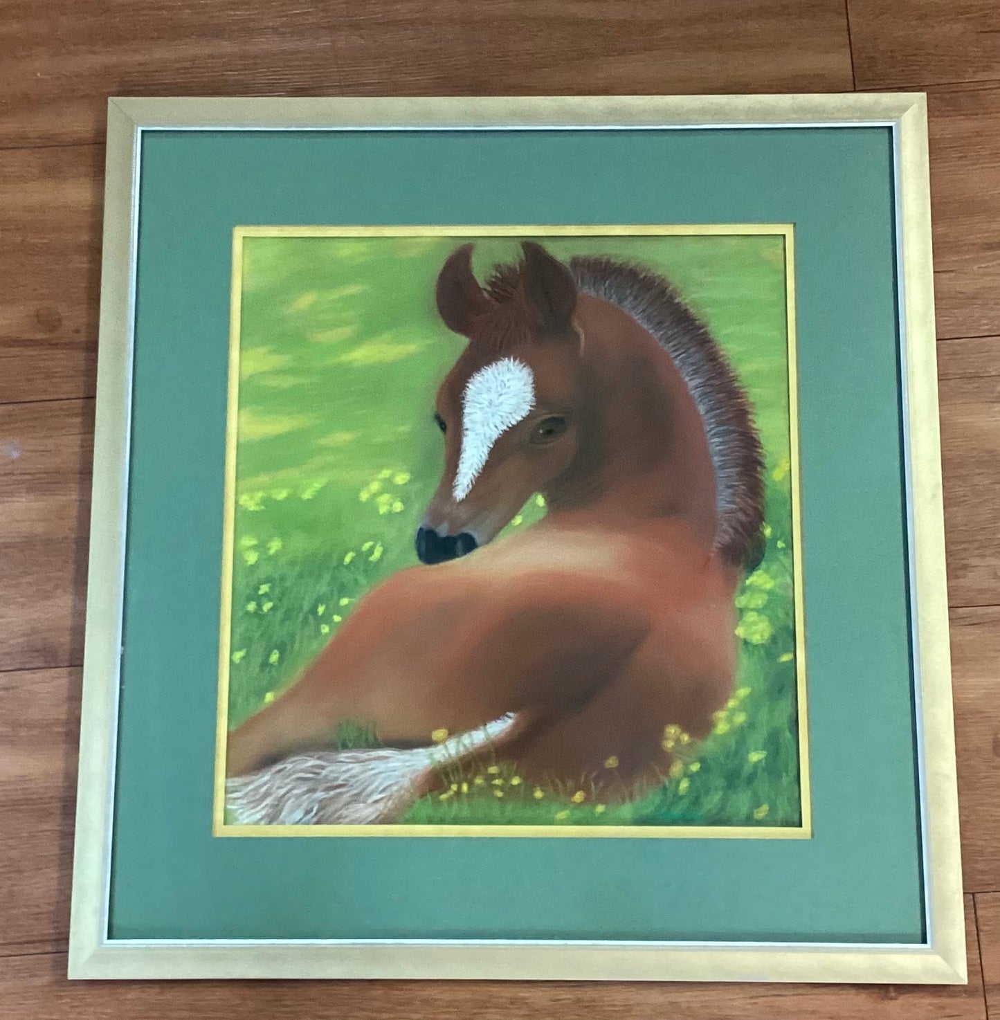 Framed Young Horse Picture