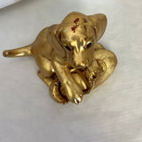 Rutledge Gold Dog