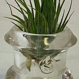 Glass Air Plant Holder