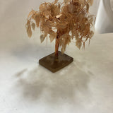 Asian Copper Tree