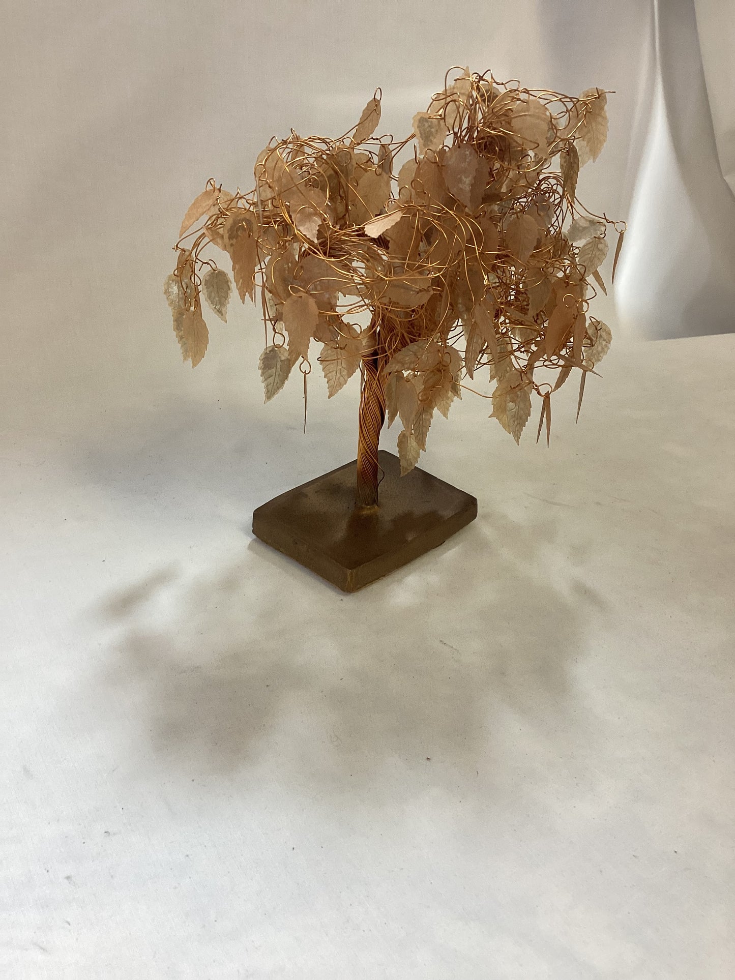 Asian Copper Tree