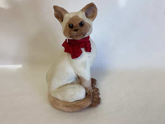 White Rock Studio Siamese Cat