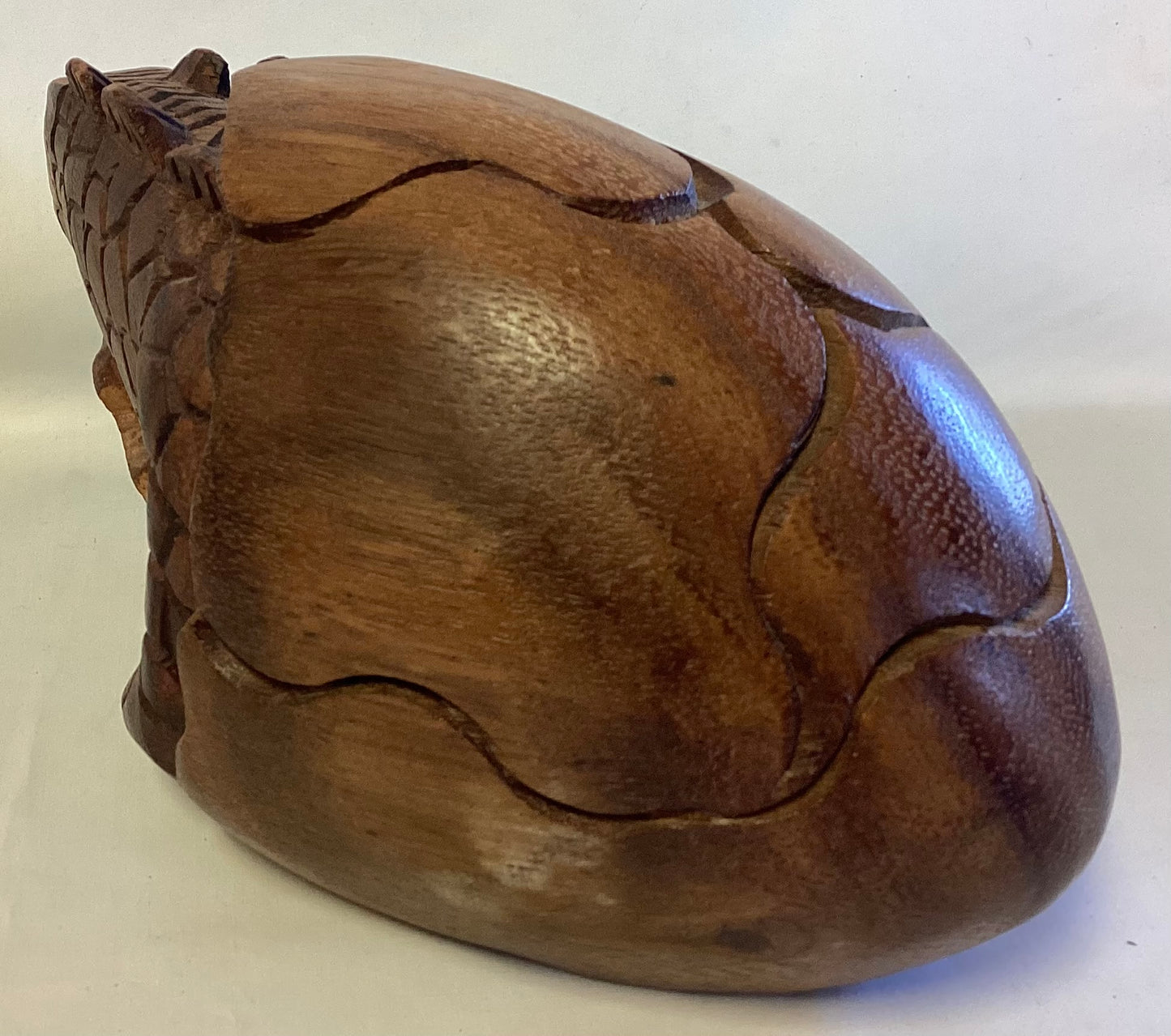 African Wooden Dinosaur Hatching From An Egg