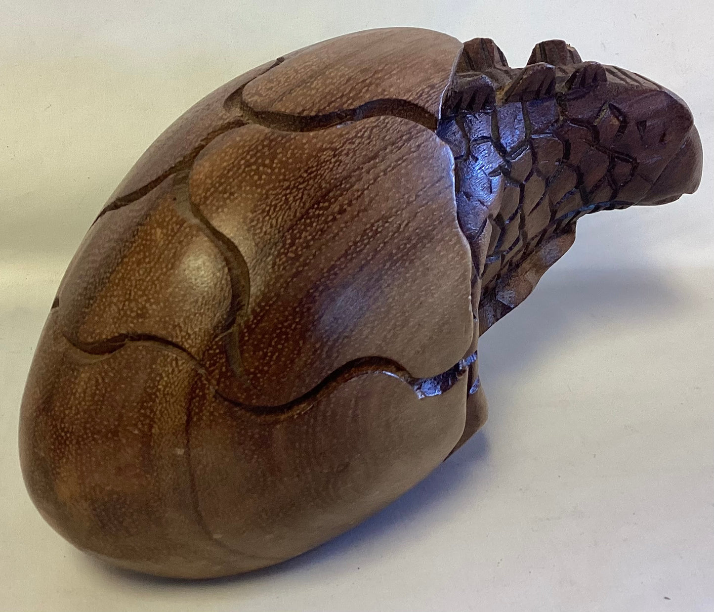 African Wooden Dinosaur Hatching From An Egg